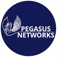 Pegasus Networks