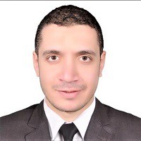 Alaa Eldeen Farghaly