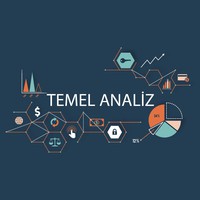 Temel Analizci