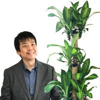 橘伸季 (Nobutoshi Tachibana)