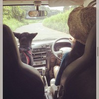 国際薬膳師 吉田法子