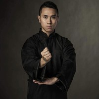 Dragon Sifu