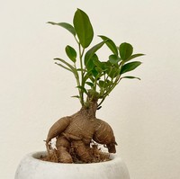 山田 凛太郎