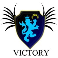Victory Online Group LLC