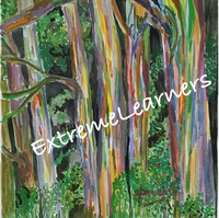 Extreme Learners