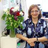 Asfar Alshibib