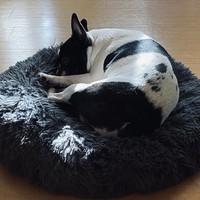 のりひこ 水嶋