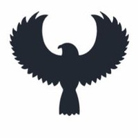 Networking Eagle