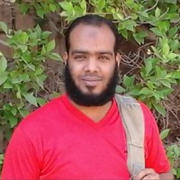 محمد السبع الهواري