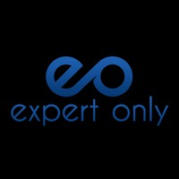 Expert-Only Training