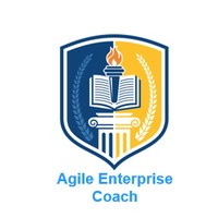 Agile Enterprise Coach London