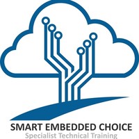 Smart Embedded Choice