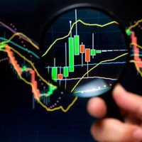 Kripto Para Dünyası