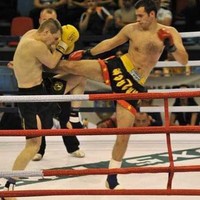 Sorin Vesa