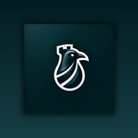 DarkRook Interactive