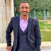 Mohamed Hamdy Abdelhalem