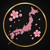Sakura Sensei