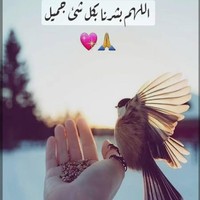 Malak Mohamed 26